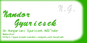 nandor gyuricsek business card